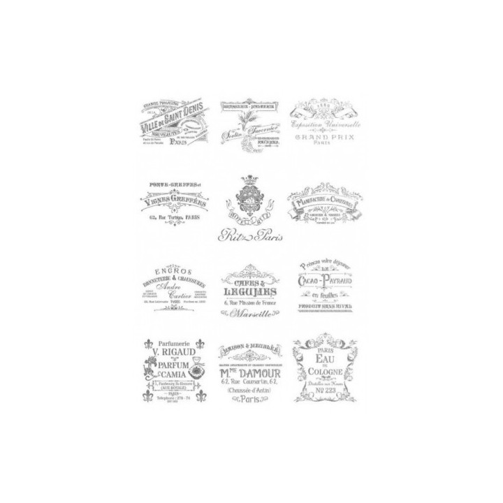 copy of 